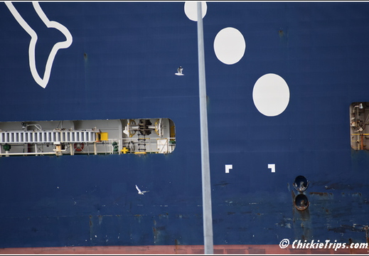 Day 02 - Warf Holland America Dec 21 032