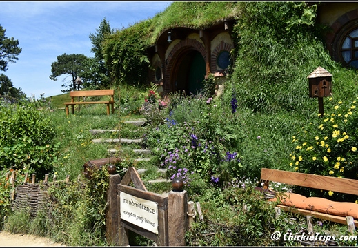 Day 03 - Hobbiton Movie Set -Tauranga Rotorua Nz - Dec 22 010