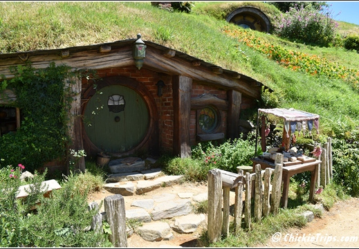 Day 03 - Hobbiton Movie Set -Tauranga Rotorua Nz - Dec 22 014