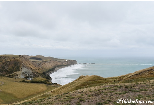 Day 04 - Cape Kidnappers Station n Gannet Safari -Napier NZ - Dec 23 024