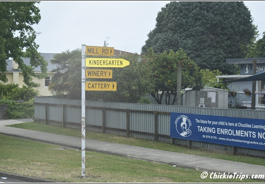 Day 04 - Cape Kidnappers Station n Gannet Safari -Napier NZ - Dec 23 034