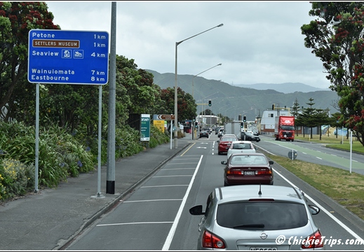 Day 05 - Wellington Harbour And The Storm Coast -Wellington Nz - Dec 24 004