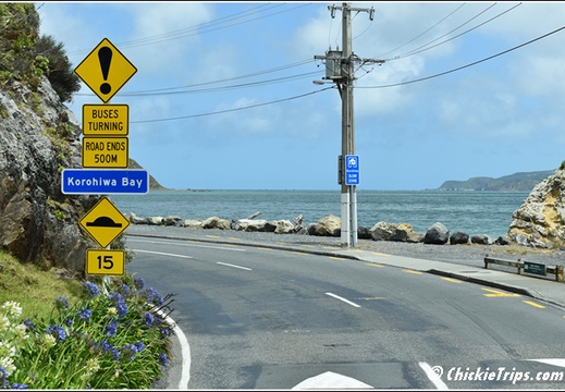 Day 05 - Wellington Harbour And The Storm Coast -Wellington Nz - Dec 24 006