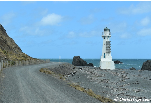 Day 05 - Wellington Harbour And The Storm Coast -Wellington Nz - Dec 24 017