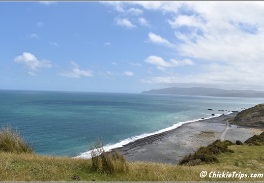 Day 05 - Wellington Harbour And The Storm Coast -Wellington Nz - Dec 24 028