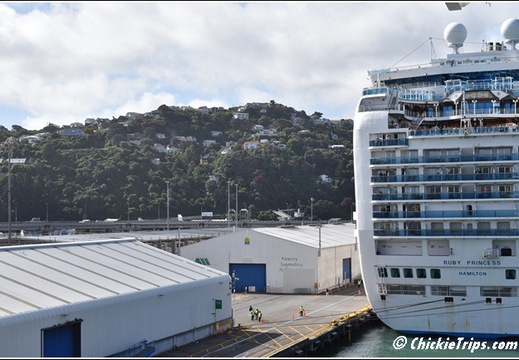 Day 05 - Wellington Harbour And The Storm Coast -Wellington Nz - Dec 24 044