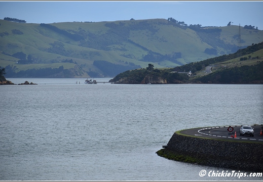 Day 06 - At Sea - Dec 25 029