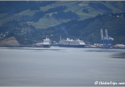 Day 08 - Natures Wonders - Port Chalmers Dunedin Nz Dec 27 002
