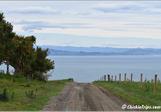 Day 08 - Natures Wonders - Port Chalmers Dunedin Nz Dec 27 006