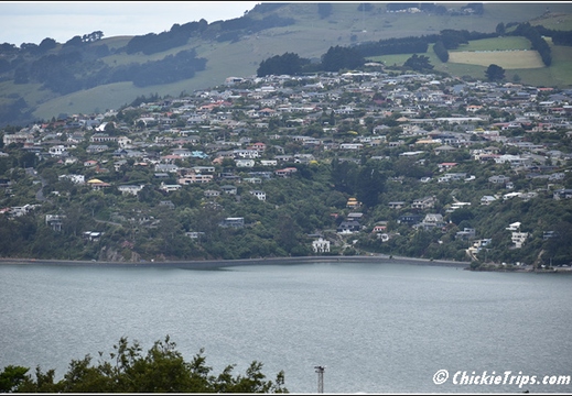 Day 08 - Natures Wonders - Port Chalmers Dunedin Nz Dec 27 017