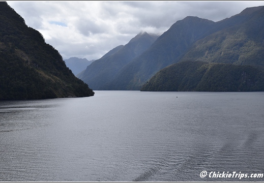 Day 09 10 11 - At Sea - Fjordland National Park - Dec 28 29 30 015