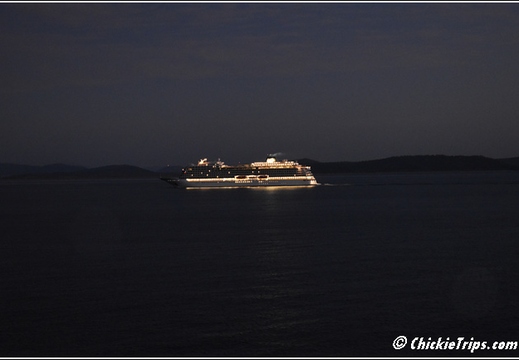 Day 12 - Wildlife and Waterways - Hobart Tasmania Au - Dec 31 002