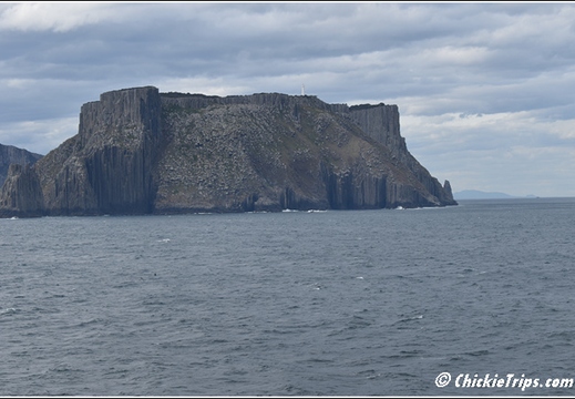 Day 12 - Wildlife and Waterways - Hobart Tasmania Au - Dec 31 005