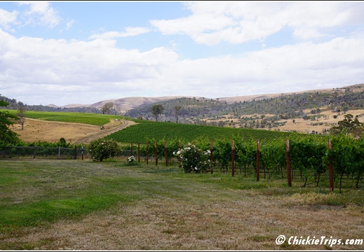 Day 12 - Wildlife and Waterways - Hobart Tasmania Au - Dec 31 015