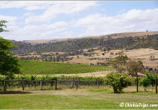 Day 12 - Wildlife and Waterways - Hobart Tasmania Au - Dec 31 019