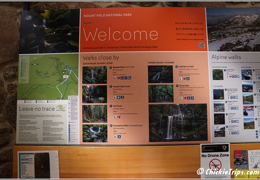 Mount Field National Park 001