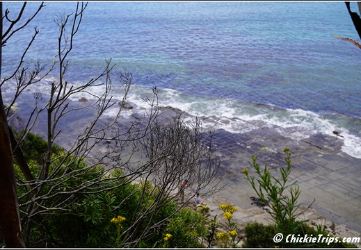 Tessellated Pavement State Reserve AU 004
