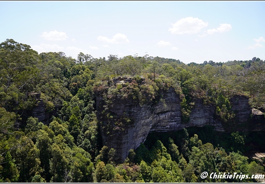 Blue Mountains 022