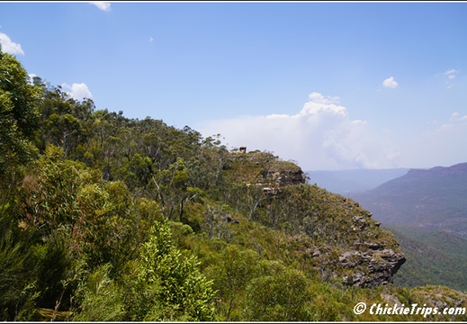 Blue Mountains 032