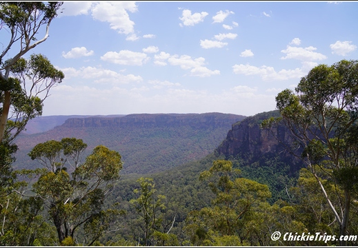 Blue Mountains 035