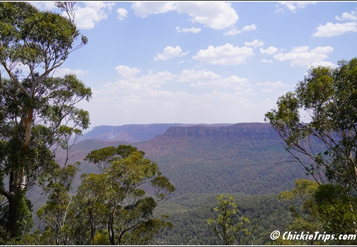 Blue Mountains 037